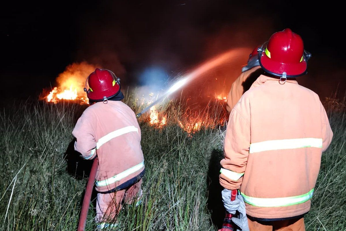 Pemkab Jayawijaya padamkan kebakaran hutan di Distrik Pugima