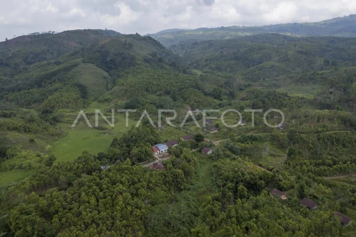 Transmigran Kerinci menunggu penyelesaian hak lahan