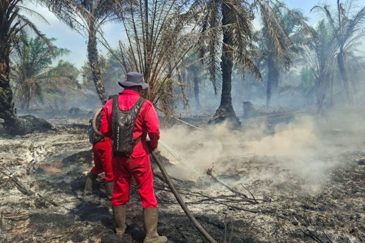 Kebakaran lahan 45 hektare masih membara di Riau, pemadam hadapi sejumlah tantangan