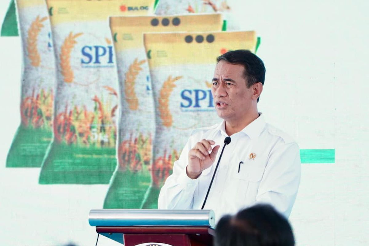 Bapanas: Harga gabah tertinggi delapan tahun jaga inflasi beras