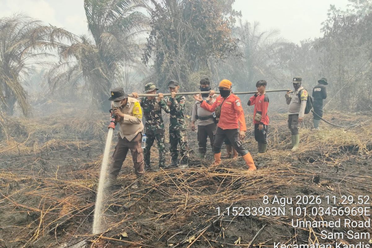 Tim gabungan padamkan karhutla 12,5 ha di dua lokasi di Bengkalis Riau