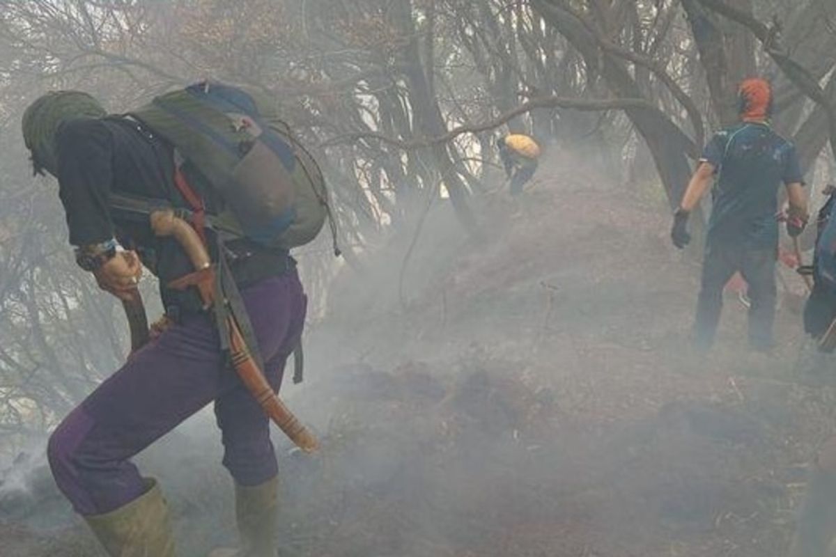 Kemenhut tangani kebakaran di Gunung Gede Pangrango, tutup pendakian