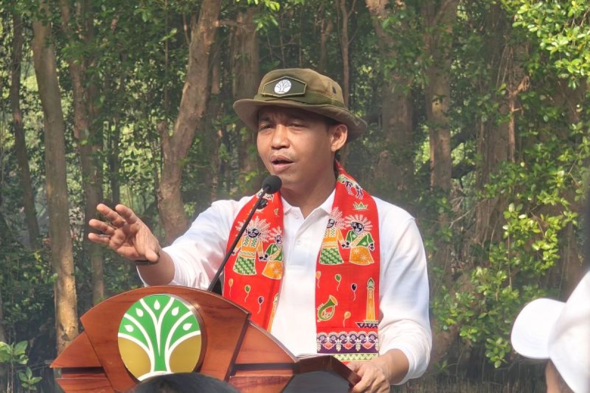 Indonesia’s Forest Push Is Also a Farm Story