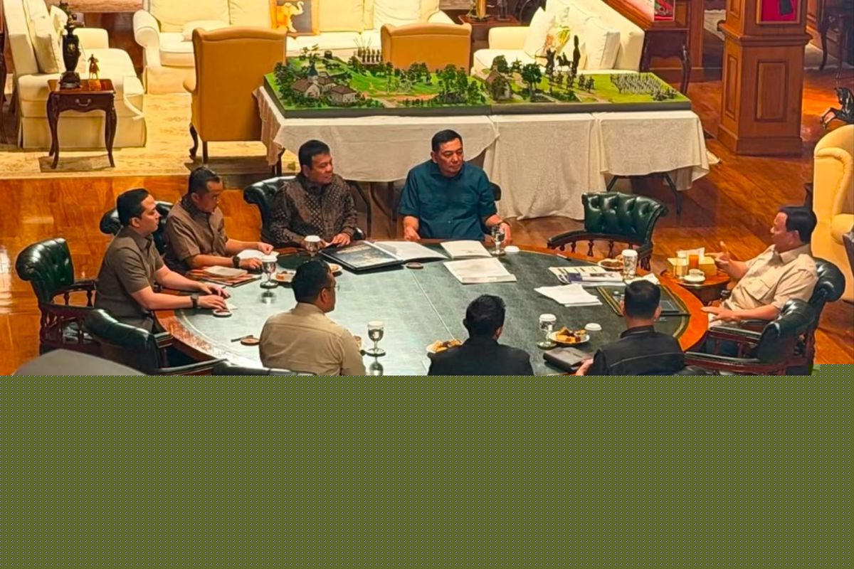 Prabowo perintahkan PLN dan Pertamina segera pangkas anak-cucu perusahaan