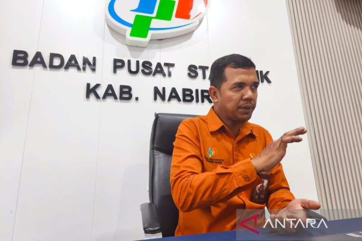 BPS: Pengangguran di Papua Tengah turun jadi 3,81 persen - ANTARA News Papua Tengah