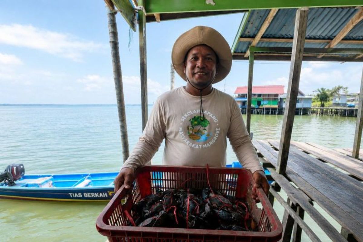 Lewat M4CR, Pelestarian Ekosistem Pesisir Jadi Kunci Ketahanan Pangan di Bulungan Kaltara