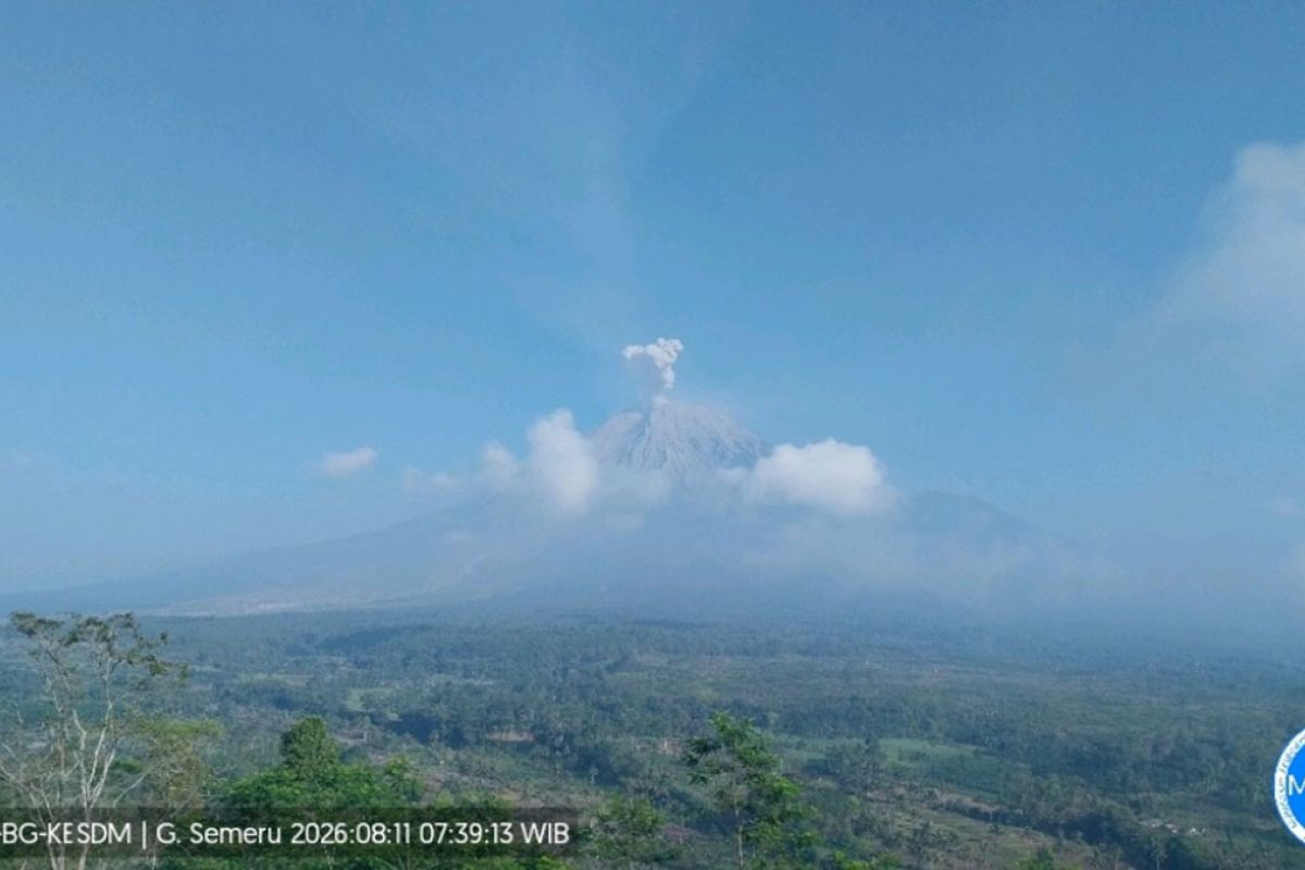 Semeru delapan kali erupsi dengan tinggi letusan capai 700 meter
