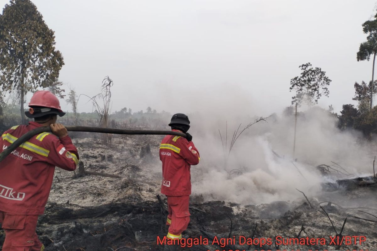 Satgas gabungan padamkan karhutla di Kumpeh Muaro Jambi