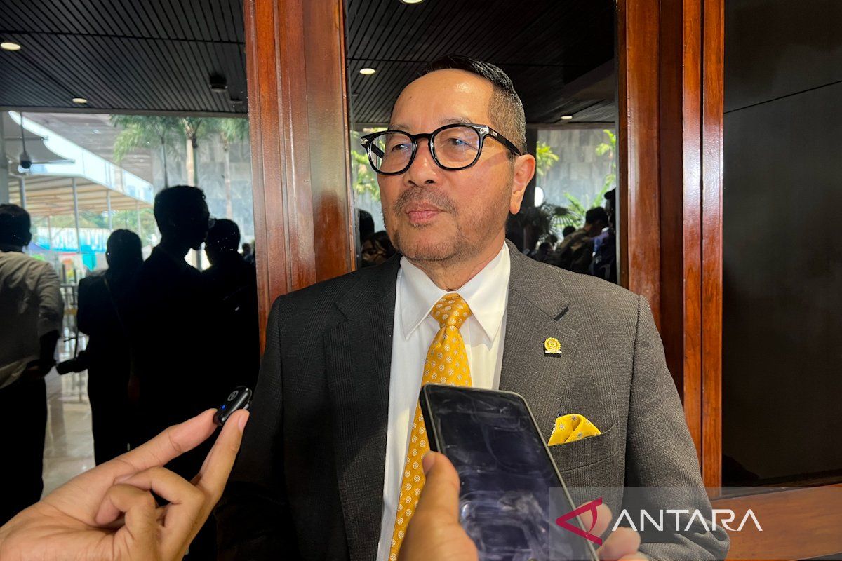 Anggota DPR dorong singkong pengganti gandum demi perkuat swasembada