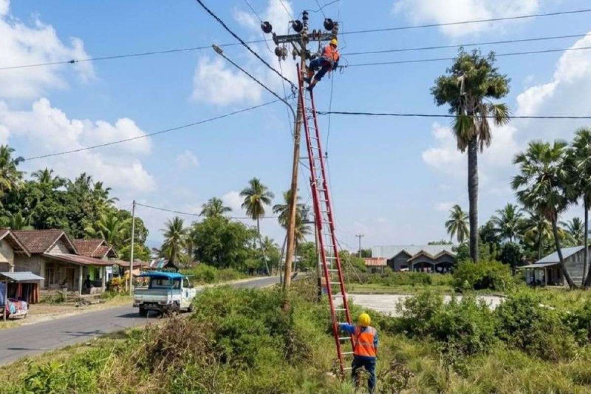 BNPB: Infrastruktur terdampak gempa M7,7 NTT berangsur pulih