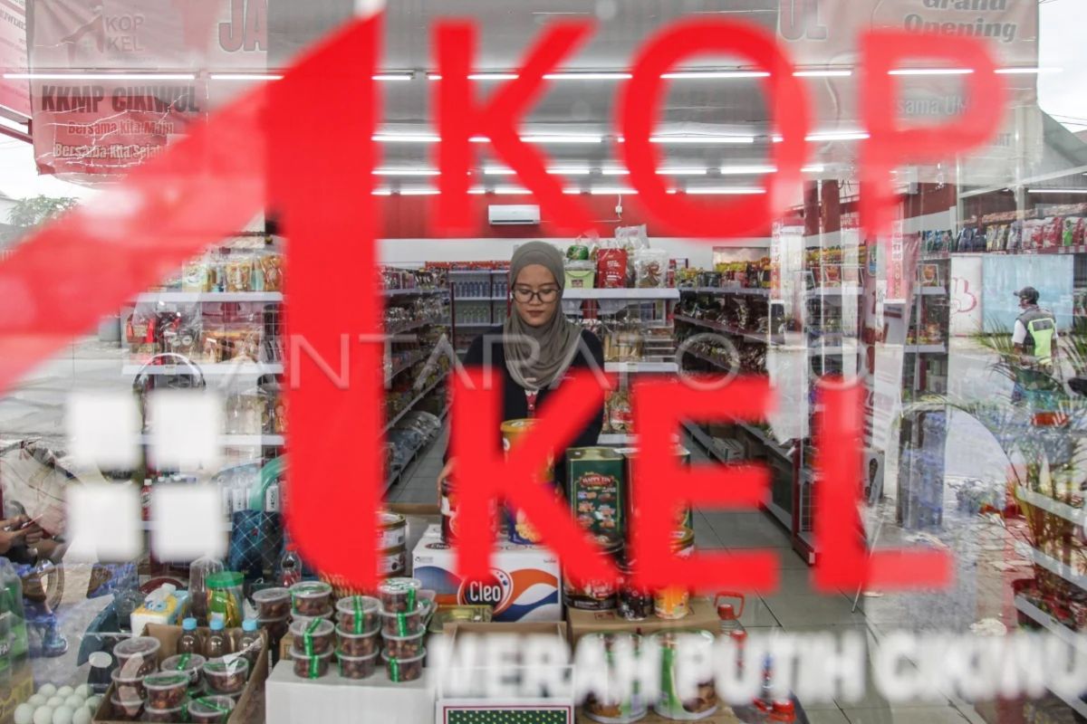 Penyaluran LPDB Koperasi capai Rp1,15 triliun hingga Juli 2026