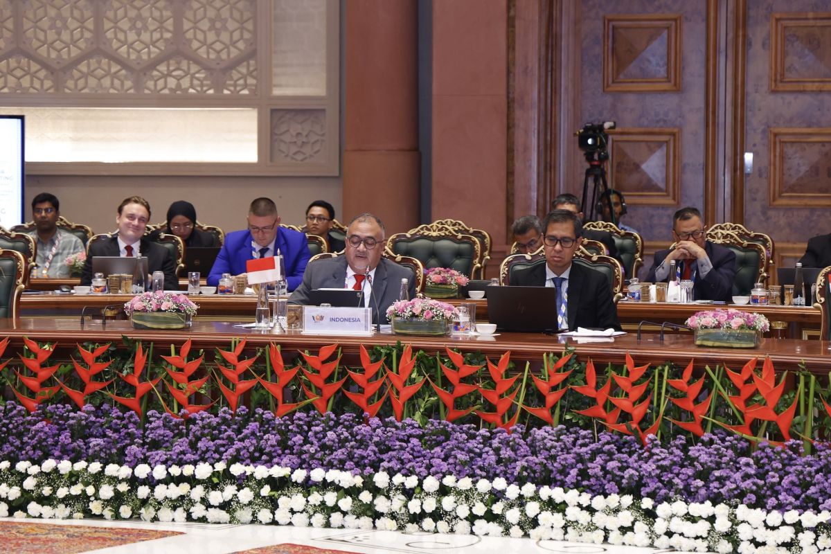 RI bagikan praktik libatkan masyarakat untuk aksi iklim di forum BRICS