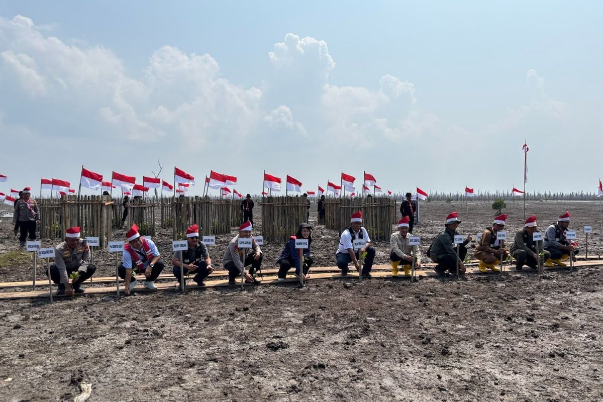 Perkuat Sinergi untuk Pesisir: M4CR dan Polda Riau Tanam Mangrove di Kuala Selat
