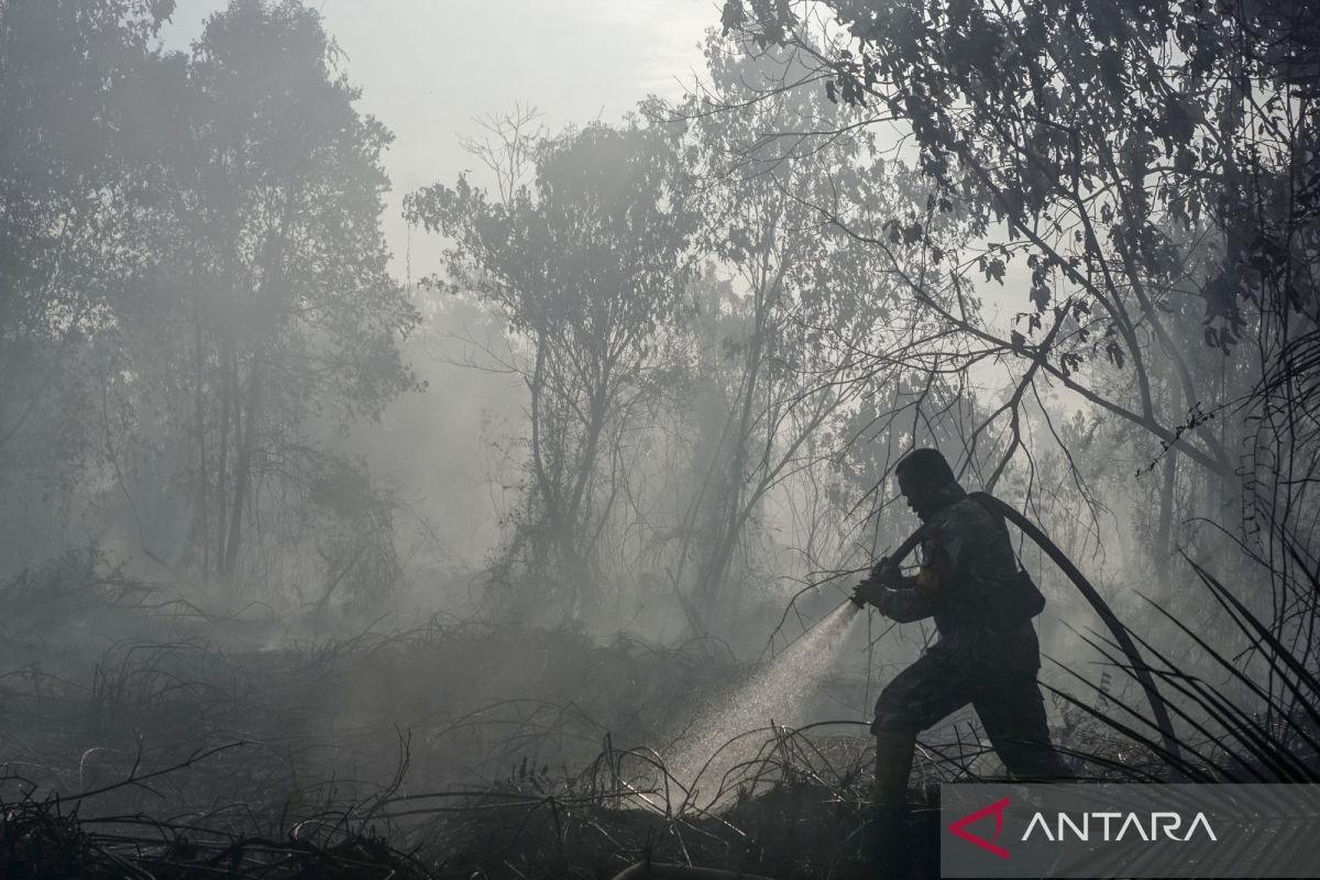 TNI kerahkan 14.167 Personel tangani karhutla di seluruh Indonesia - ANTARA News Bangka Belitung