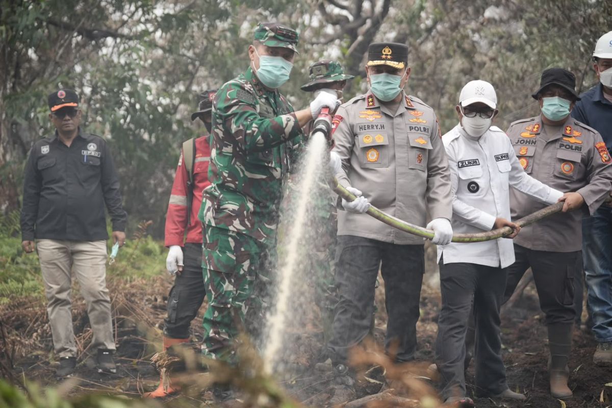 Luas kebakaran lahan di Pelalawan Riau capai 300 hektare