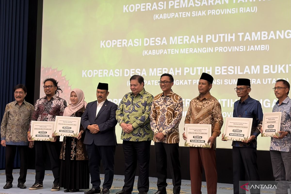 Airlangga: Program PSR penting untuk tingkatkan produktivitas sawit