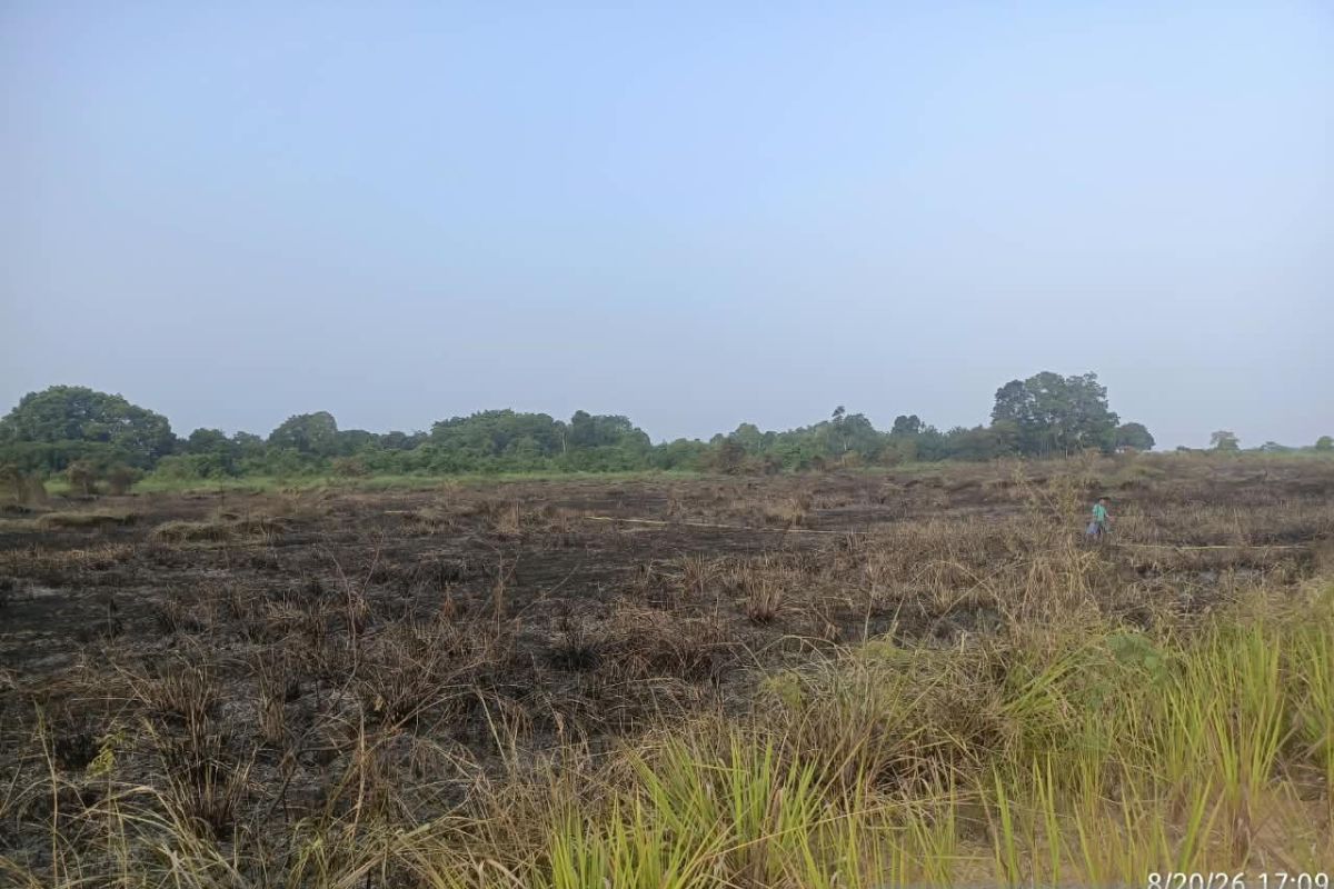 Perusahaan HTI di Jambi kerahkan tim lengkap padamkan karhutla