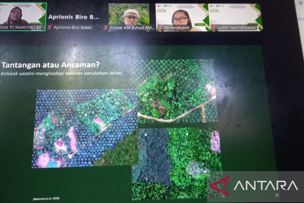 BRIN finds "kelekak" forests speed tin mine ecosystem recovery