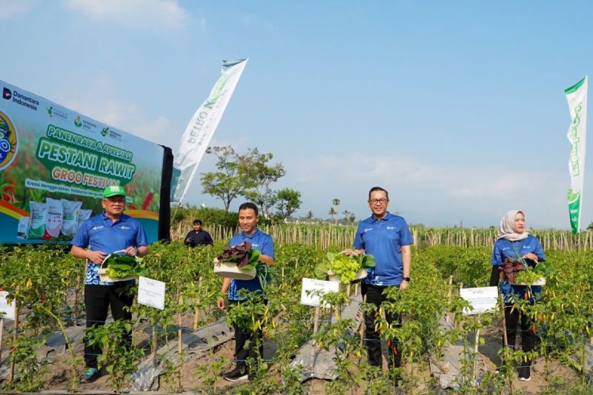 PT Petrokimia Gresik dorong petani tingkatkan produktivitas cabai