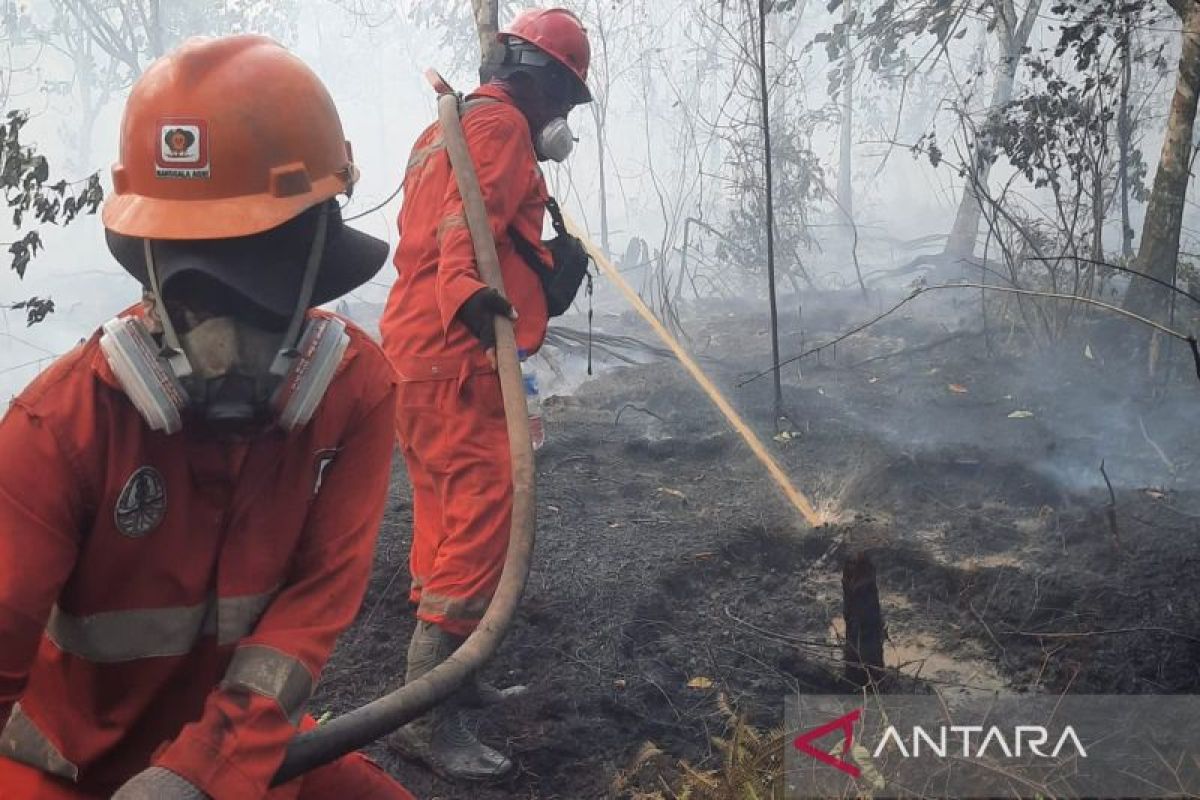 en.antaranews.com