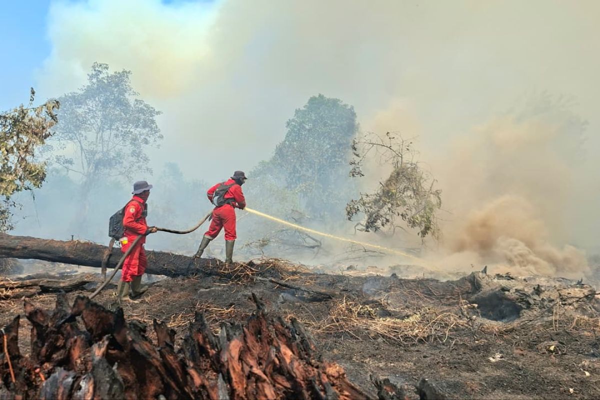 Manggala Agni masih berjibaku padamkan karhutla di Riau