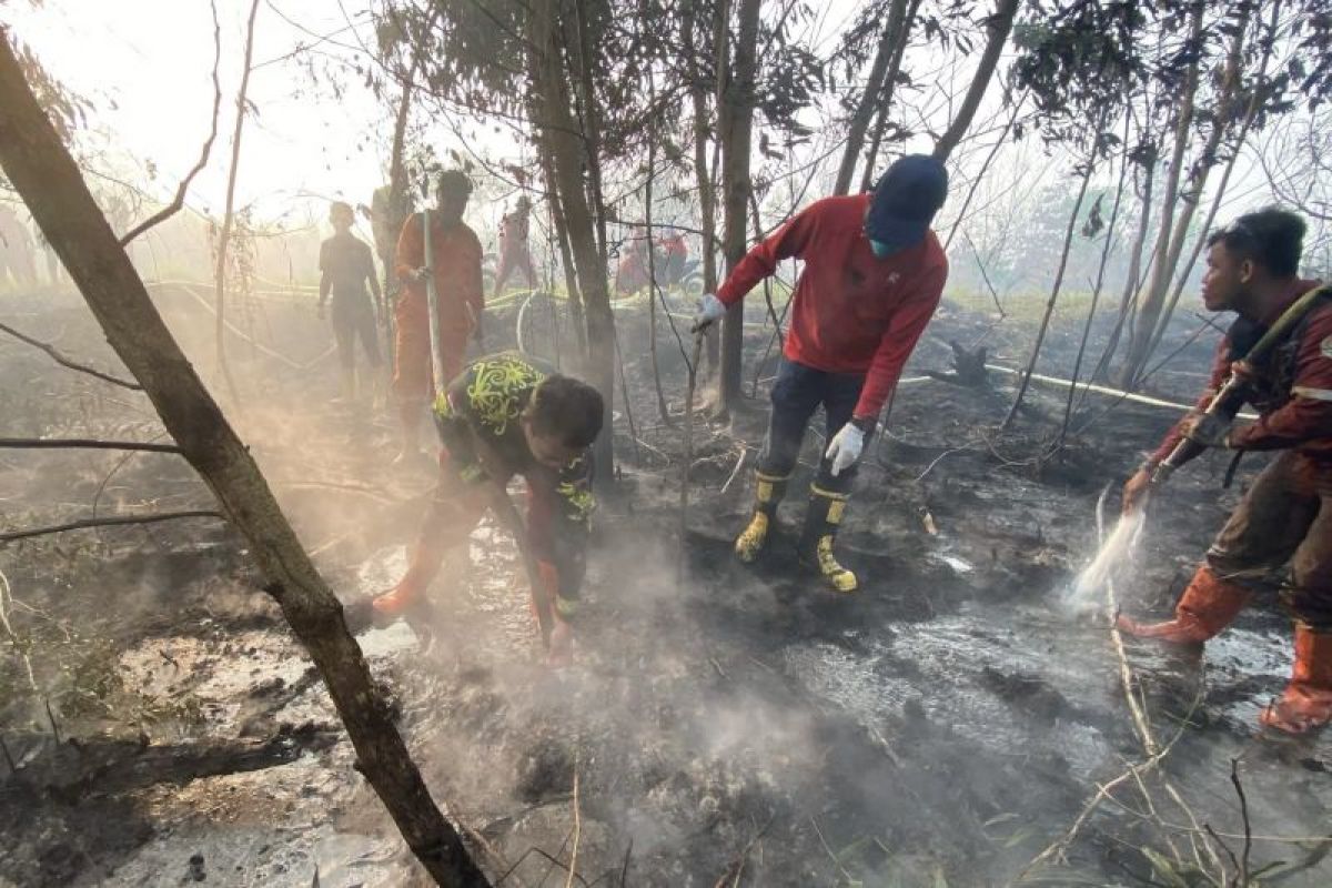 Wamenko Pangan perkuat sinergi OPD Kalsel tangani karhutla-kabut asap - ANTARA News Kalimantan Selatan