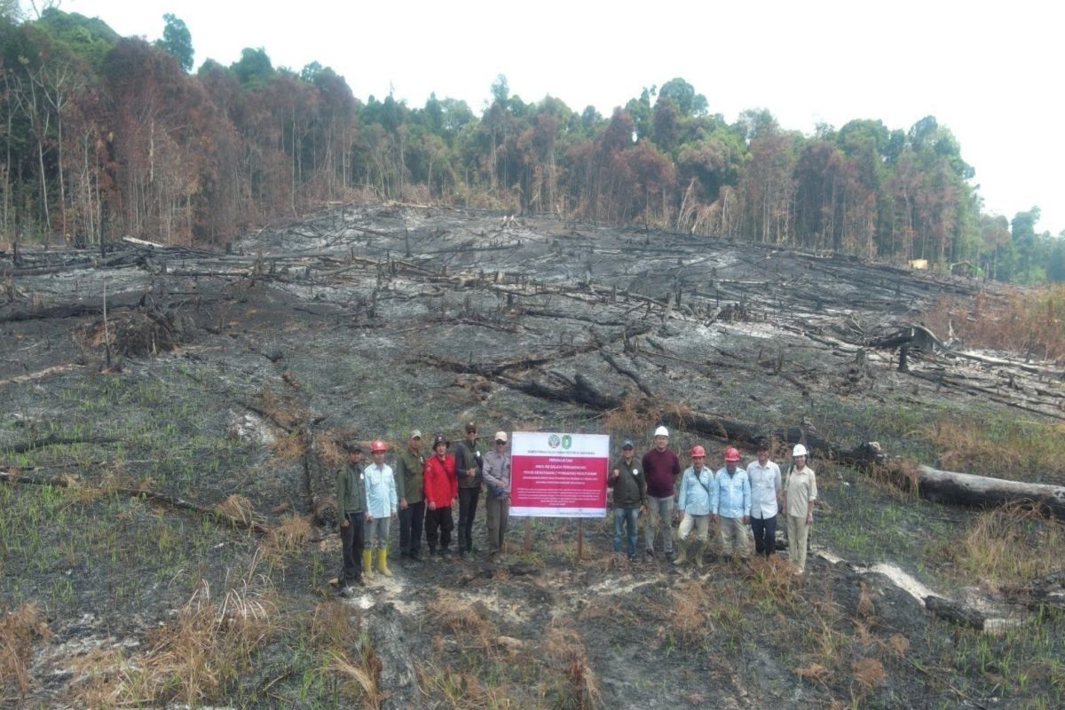 Karhutla berulang, Kemenhut bekukan izin PT MPK