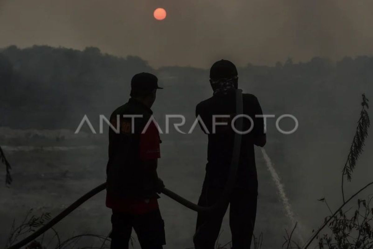 Pemadaman kebakaran lahan di Batang Hari