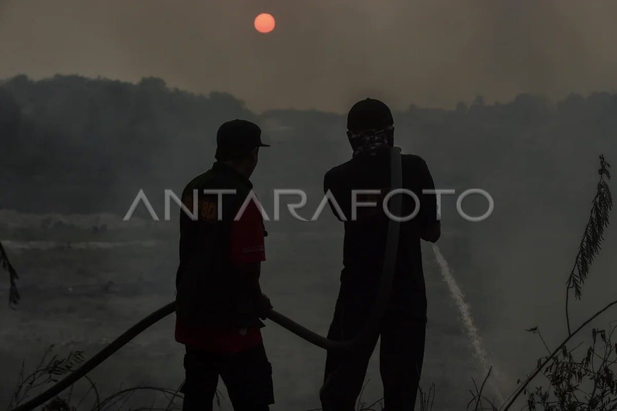 Pemadaman kebakaran lahan di Batang Hari