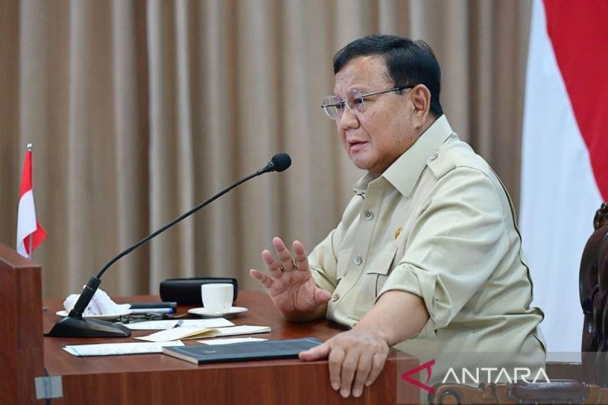 Presiden minta tambahan pembangunan sekat kanal di lahan gambut - ANTARA News Bangka Belitung