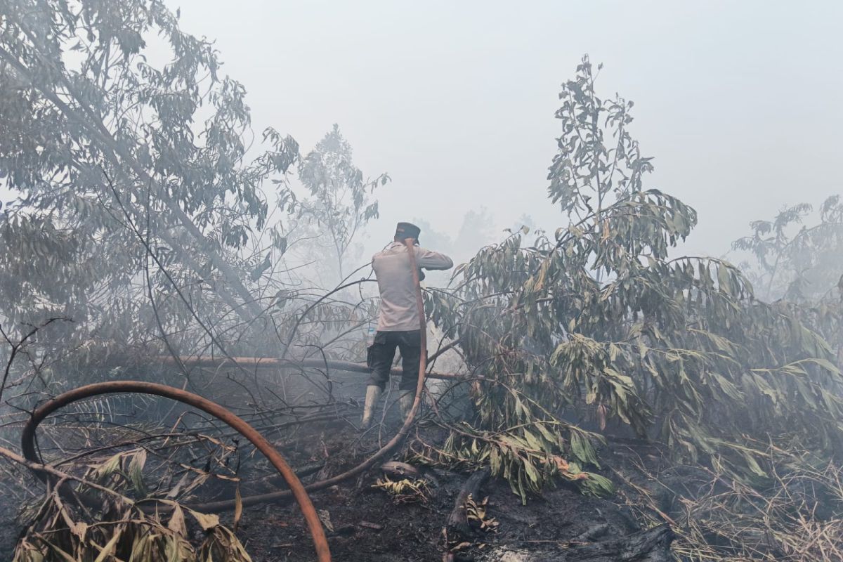Cek fakta, Prabowo angkat Haji Isam diangkat jadi koordinator penanganan karhutla di Kalimantan