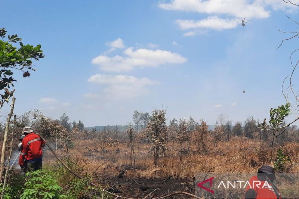 Satgas Darat dan Udara optimal tanggulangi karhutla di Kalsel - ANTARA News Kalimantan Selatan