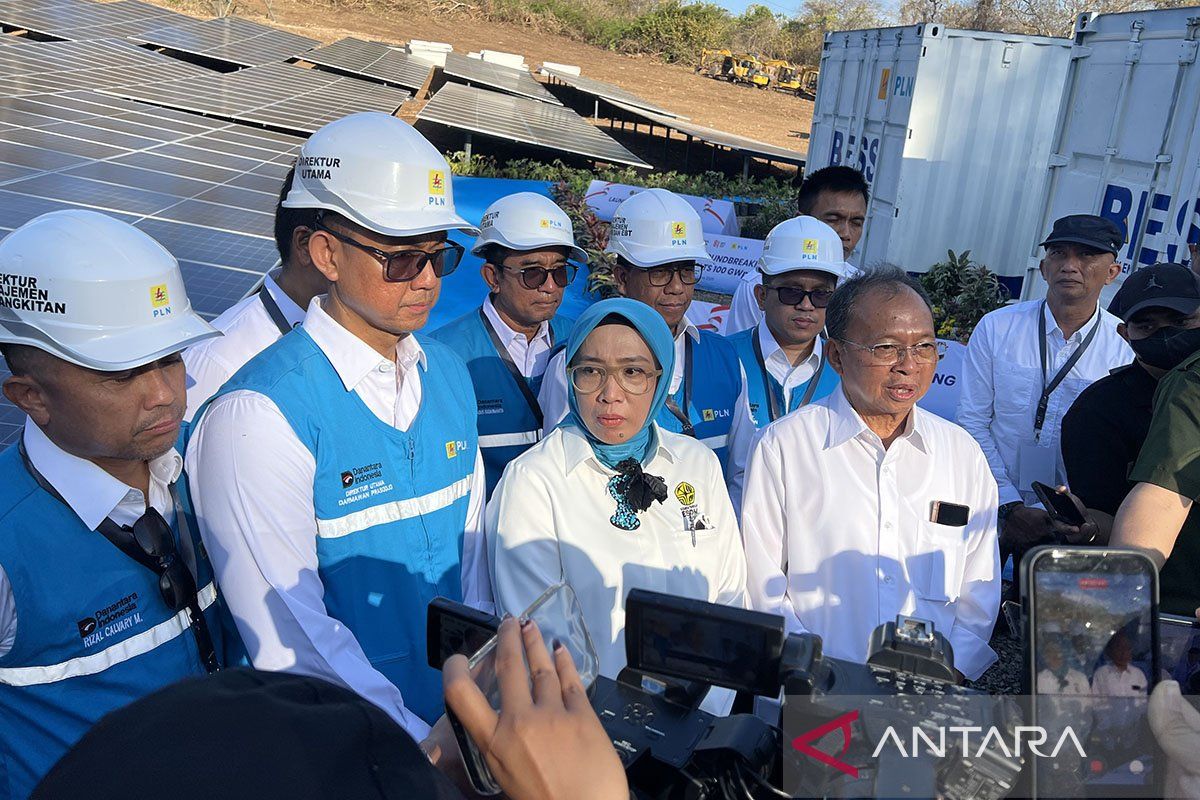 Kementerian ESDM nyatakan PLTS 1 GWp akan eliminasi diesel dari Bali