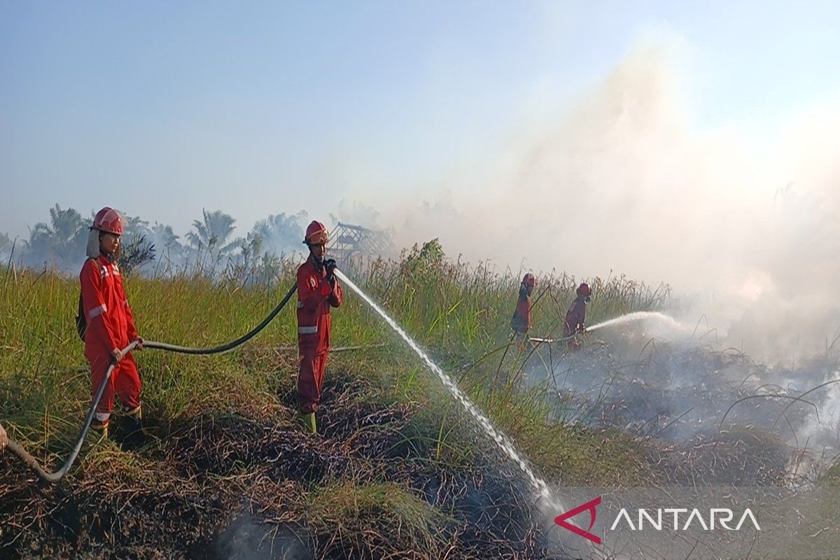 Manggala Agni perkuat pembasahan Karhutla di lahat Gambut - ANTARA News Kalimantan Selatan