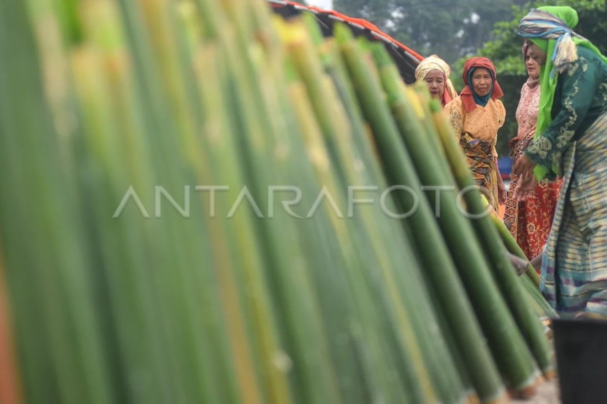 Tradisi Malamang Mauluik Gadang di Padang Pariaman