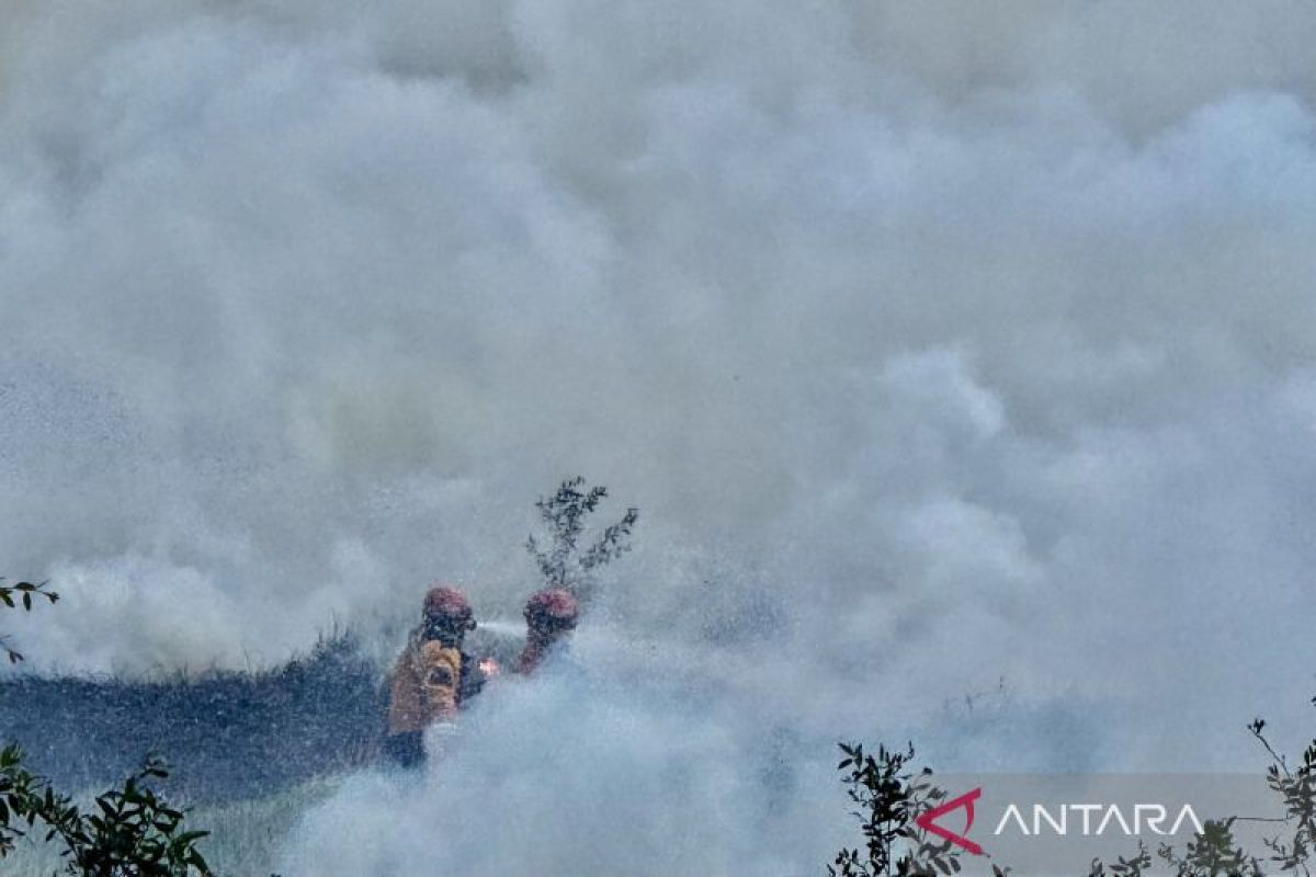 Dinkes: Kasus ISPA terus meningkat di tengah karhutla Kalsel