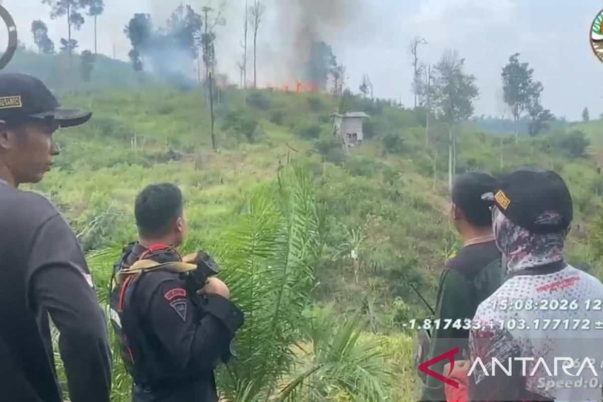 Satgas Karhutla padamkan titik api di Tahura Batang Hari - ANTARA News Jambi