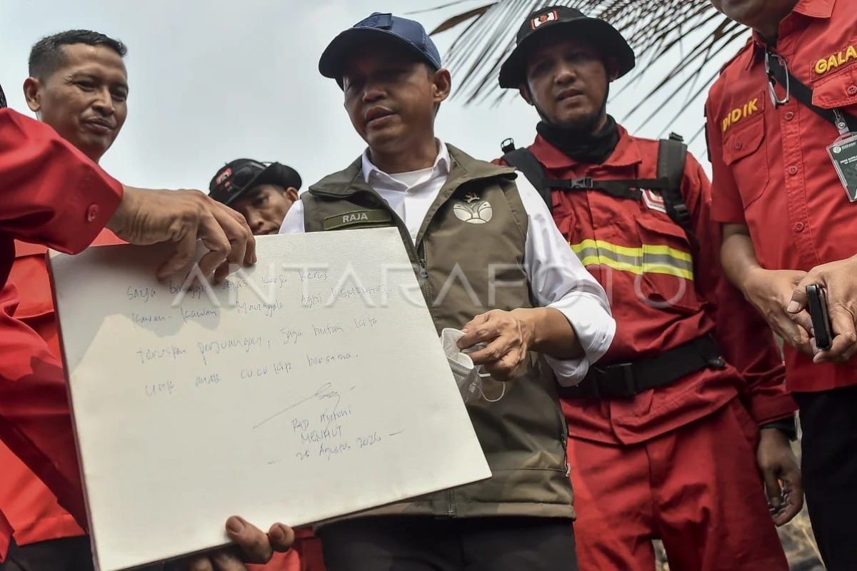 Menhut tinjau penanganan karhutla di Jambi