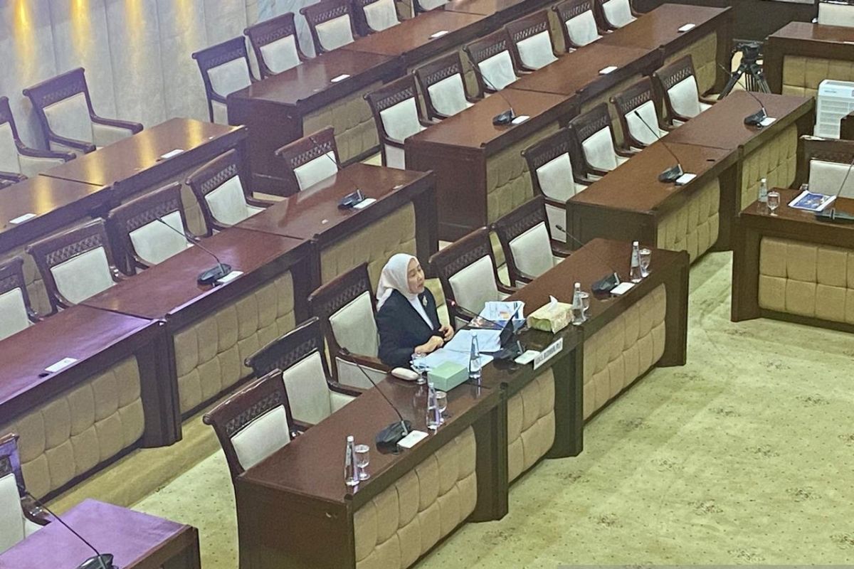 Calon DGS BI: Kebijakan moneter-fiskal bisa beda, tapi tujuan sama