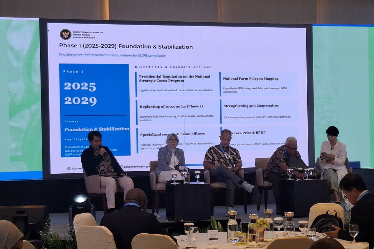 Kemenko Pangan siapkan kerangka Perpres program strategis kakao