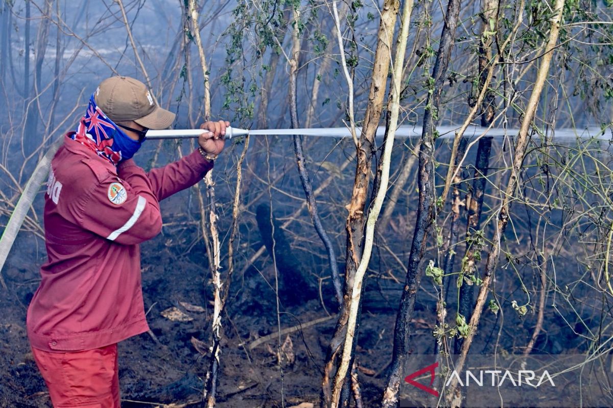 en.antaranews.com