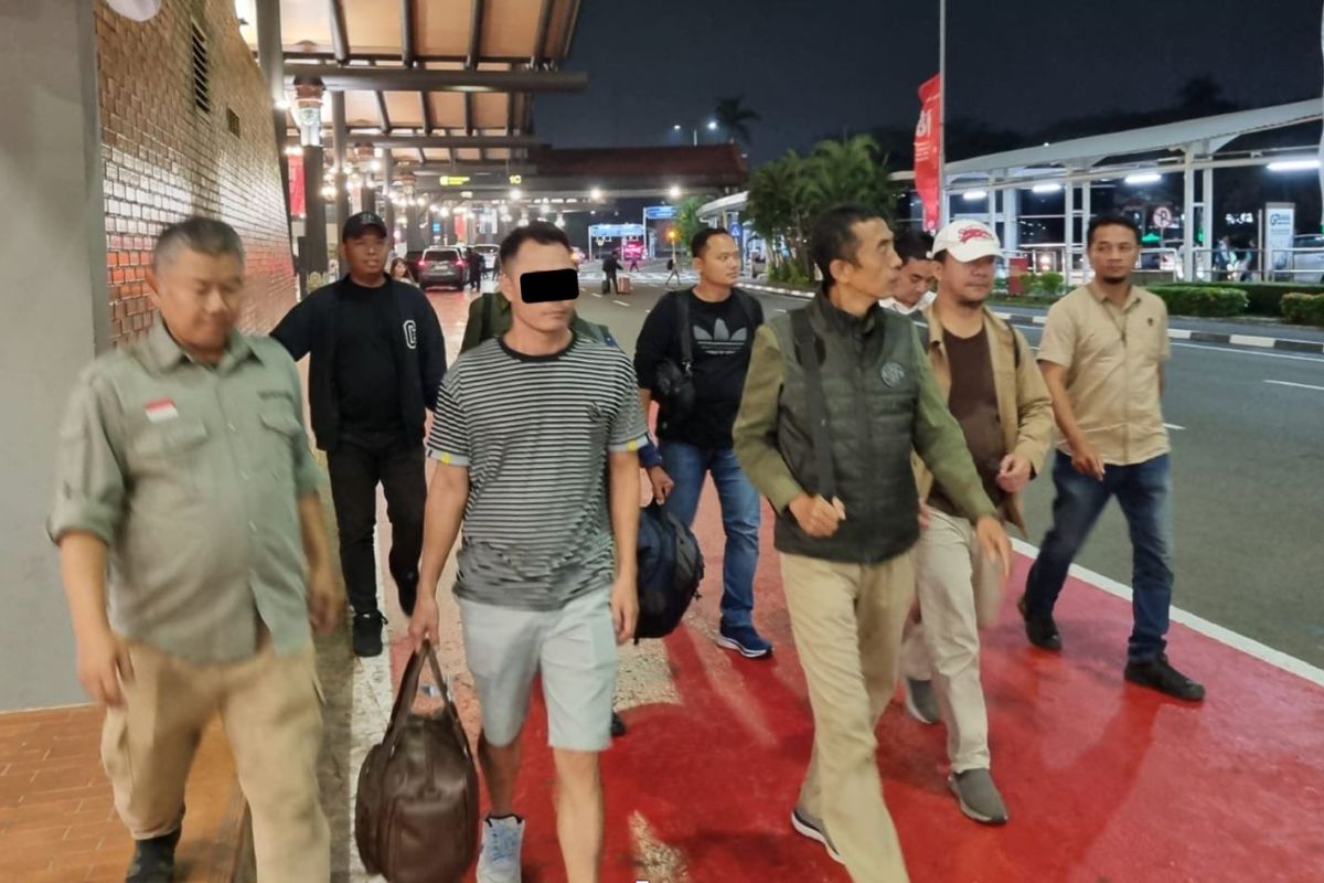 Kemenhut ungkap jejak jaringan perdagangan satwa liar dari kasus 3 ton sisik trenggiling