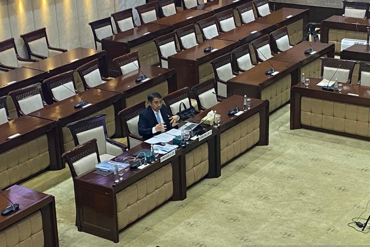 Calon Deputi Gubernur BI: Trilema keberlanjutan bisa saling memperkuat