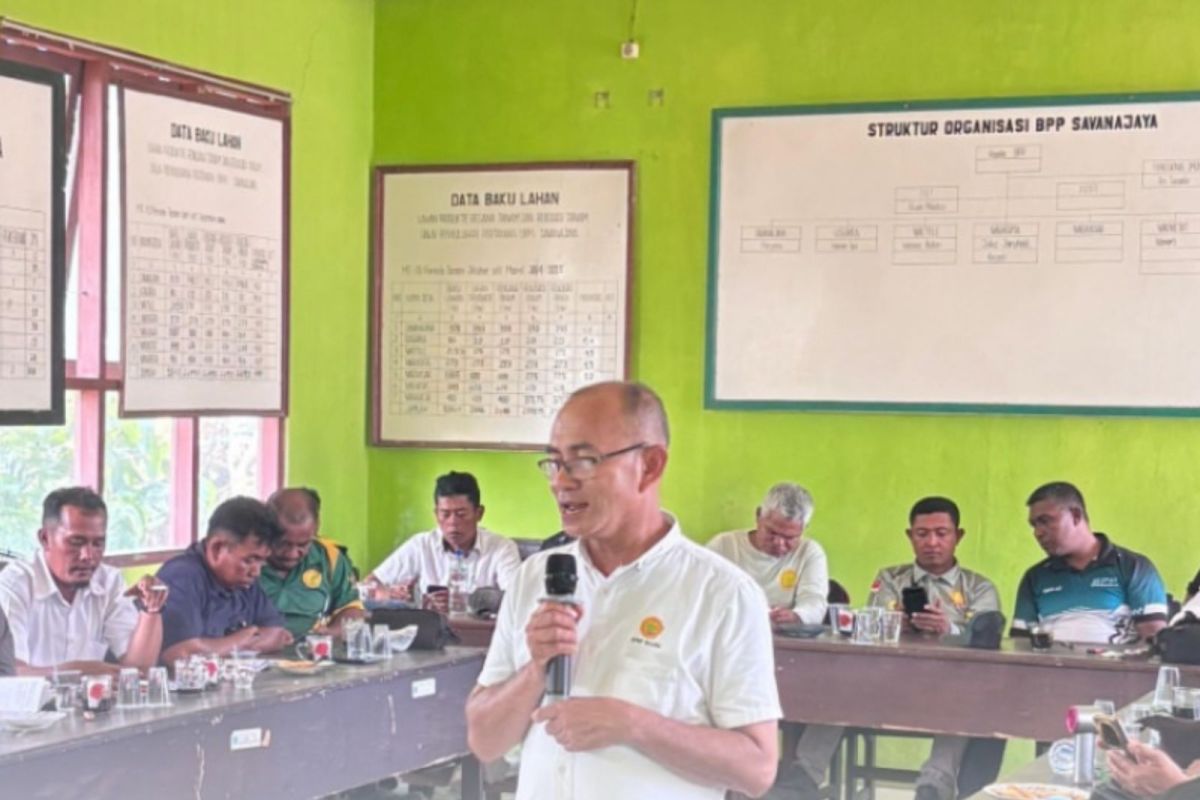 BBRMP Maluku pacu petani Buru terapkan model PM-AAS