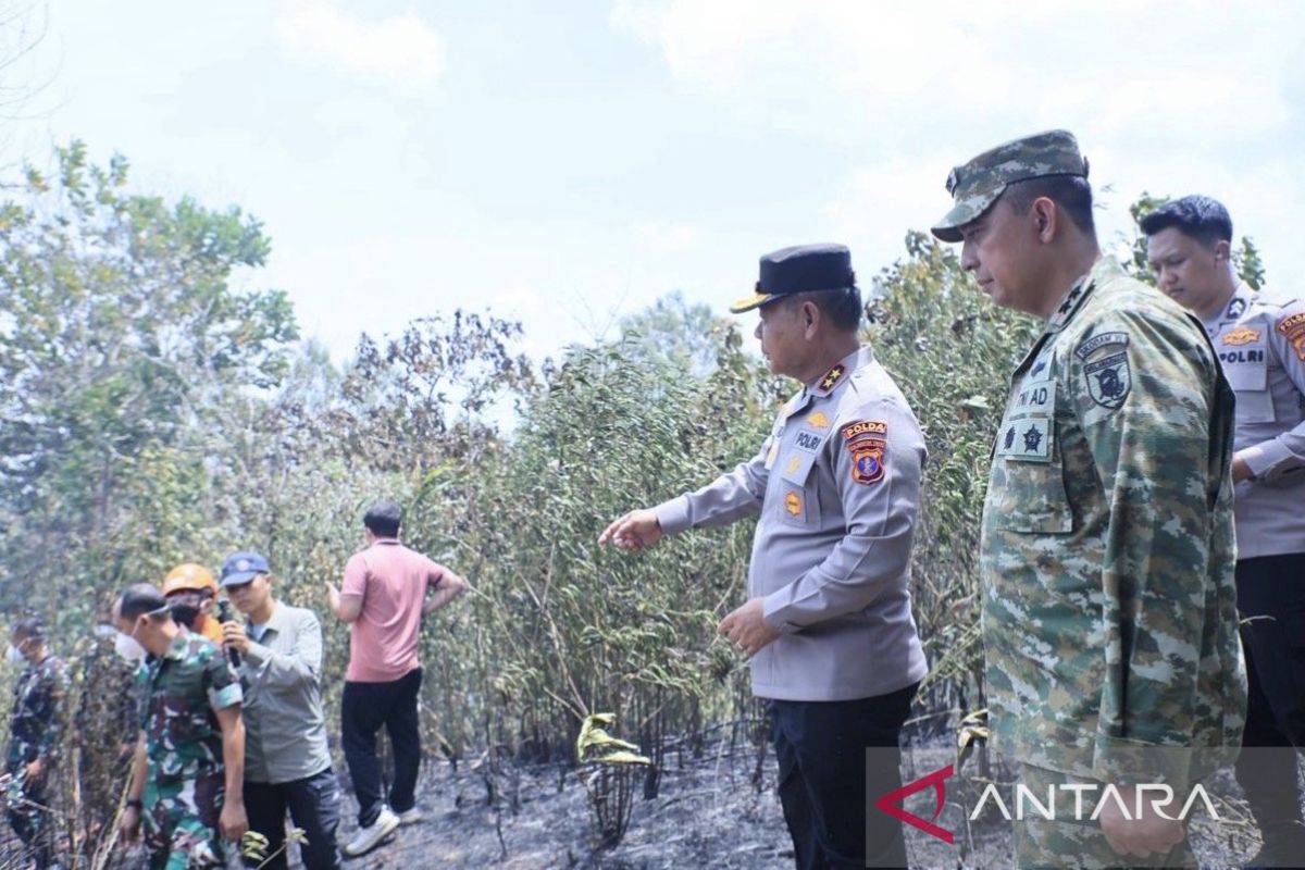 Indonesian military leads ecosystem restoration after Kalimantan fires - ANTARA News Kalimantan Selatan