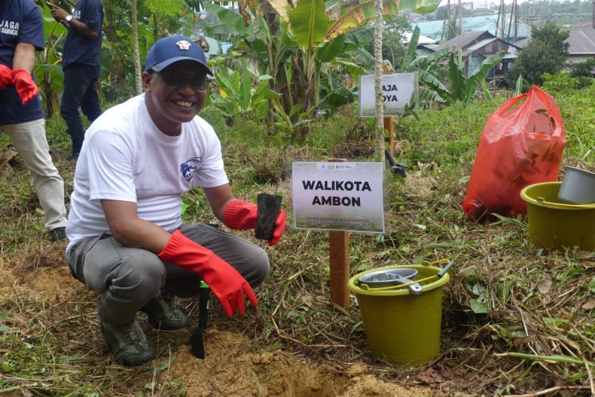 Pemkot Ambon Tanam 1.000 Pohon di DAS Air Besar Cegah Bencana