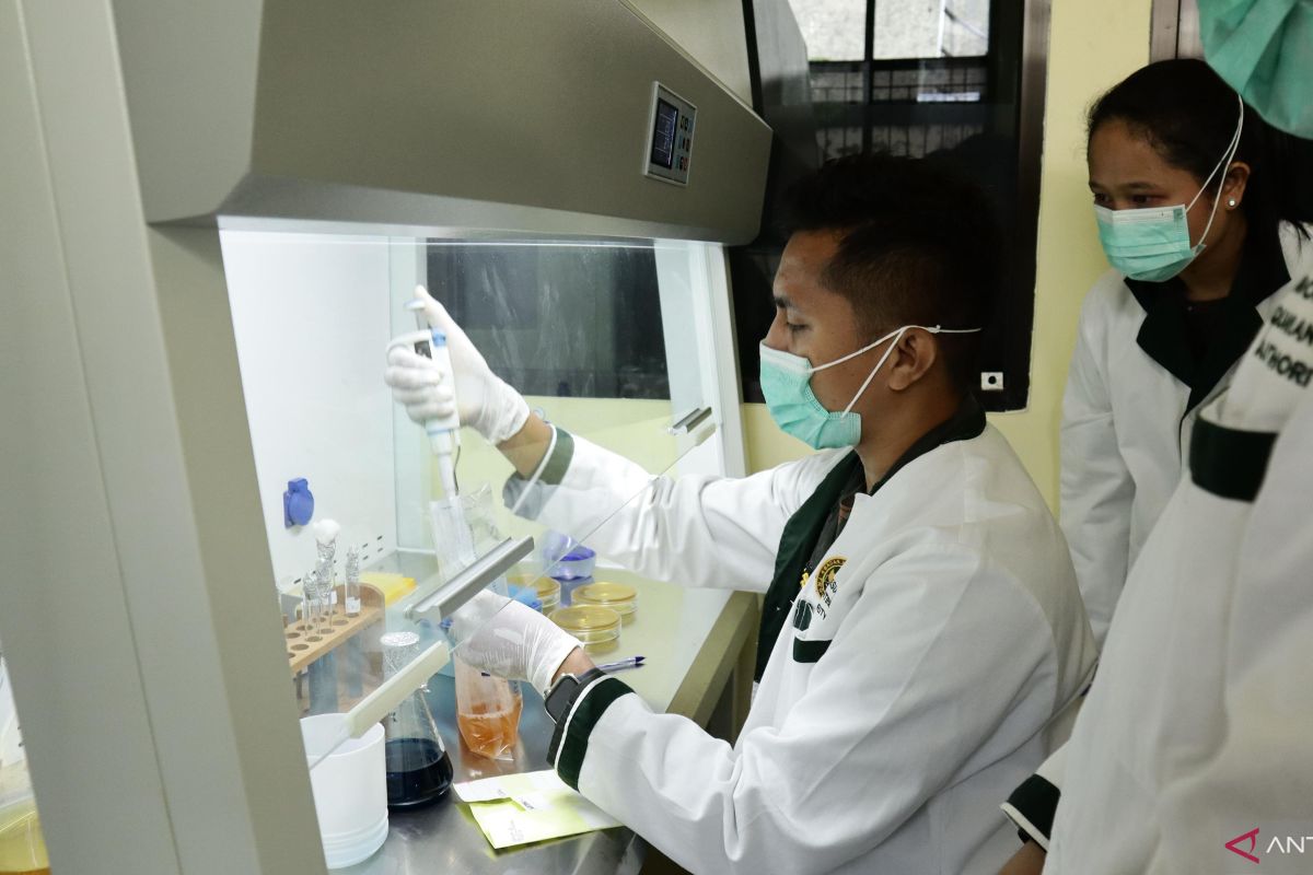 BKHIT Maluku Perkuat Pengujian Biomolekuler Deteksi Penyakit Hewan