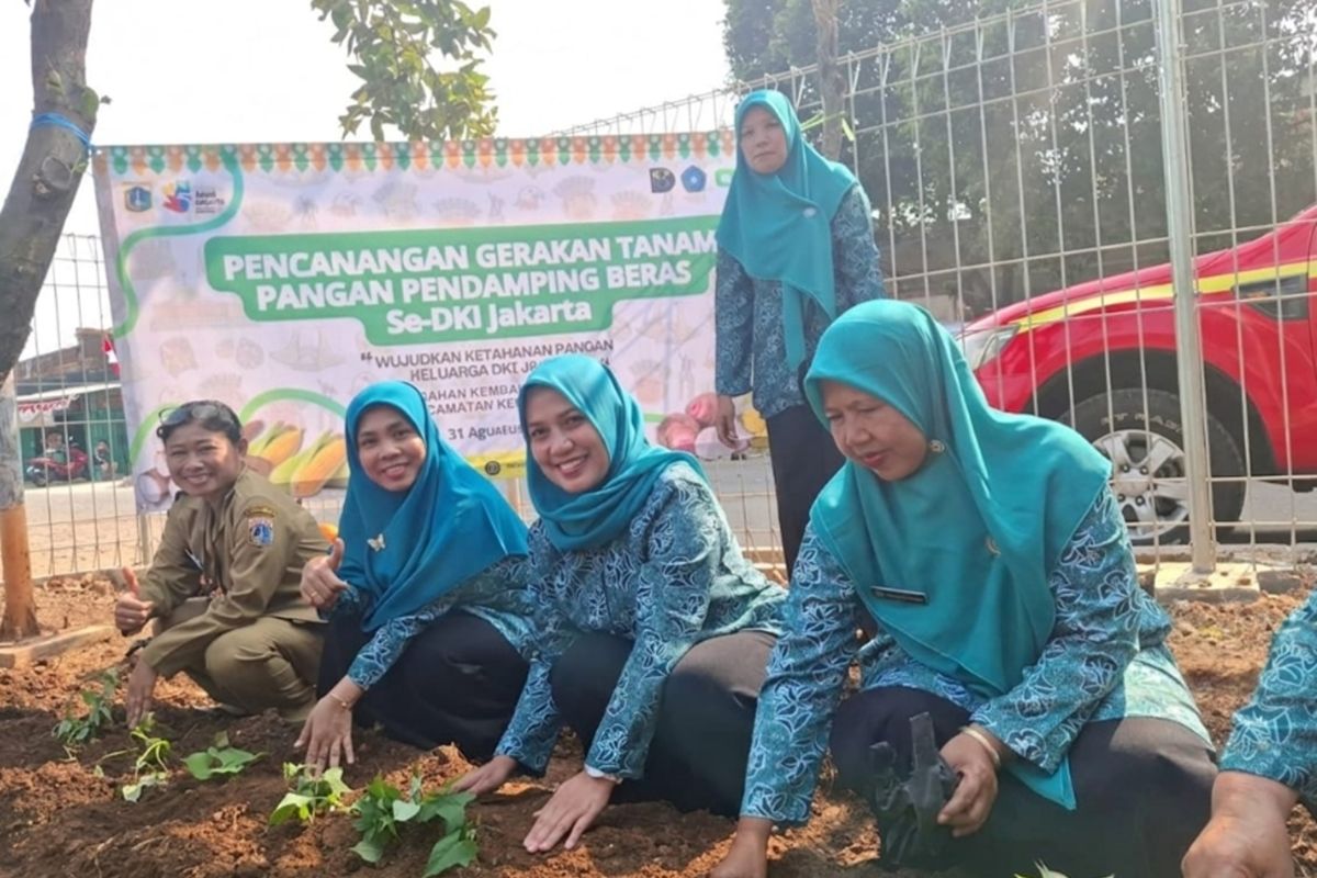 Jakbar Canangkan Gerakan Tanam Pangan Pendamping Beras di 135 Lokasi