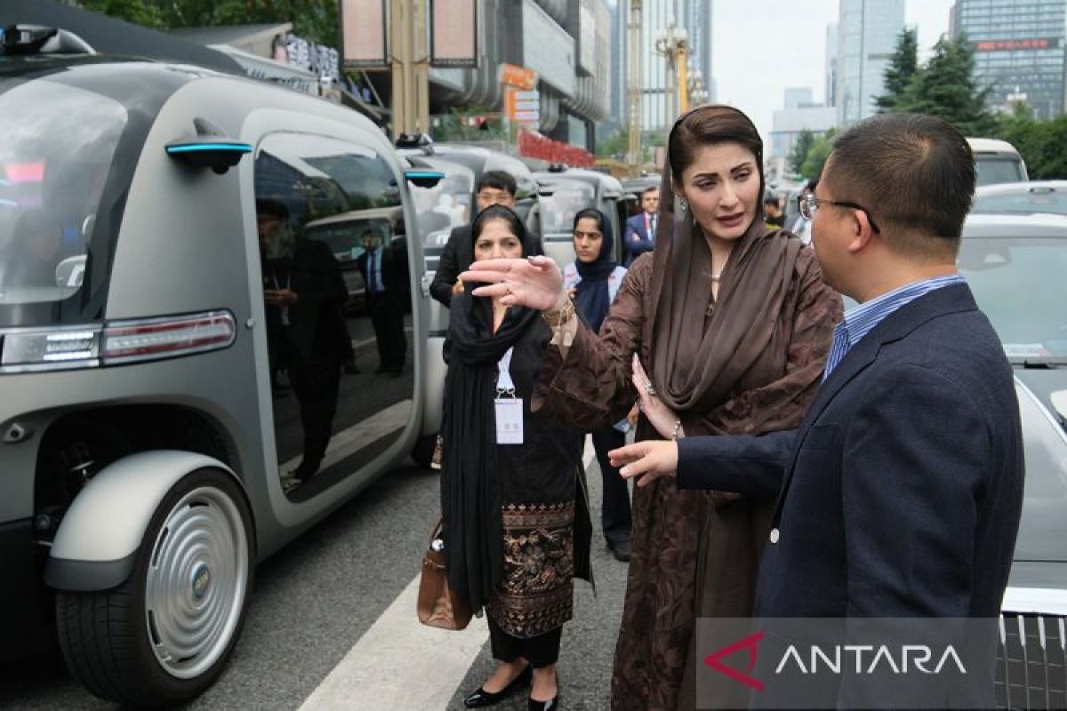 Petani kecil Pakistan disuntik harapan kerja sama AI China