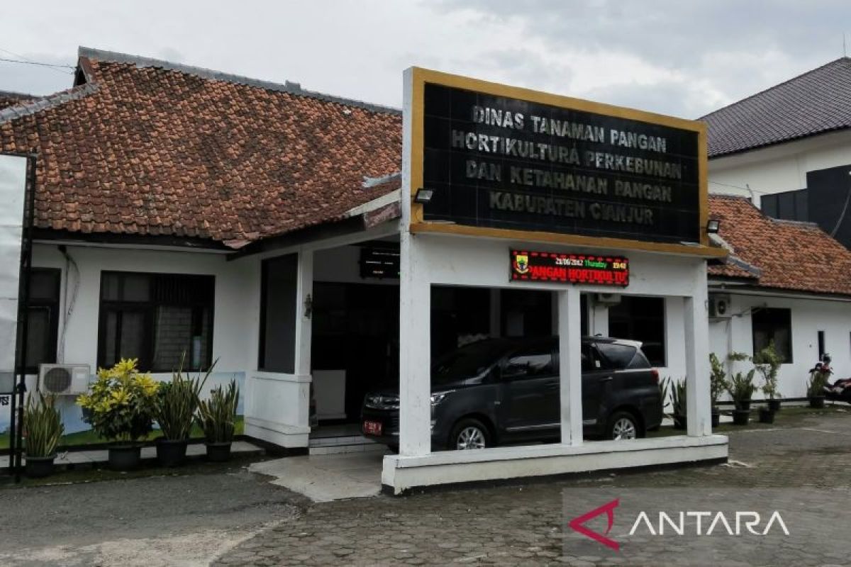 DTPHP Cianjur Siapkan Asuransi Gagal Panen Rp 6 Juta per Hektar